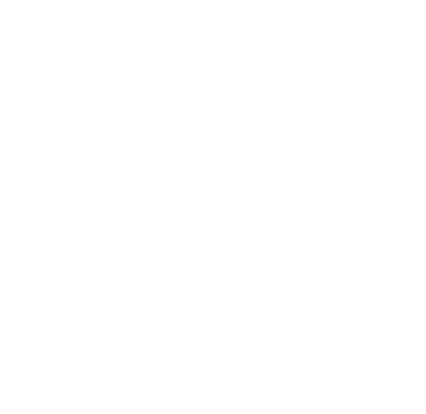 Cirque du Soleil